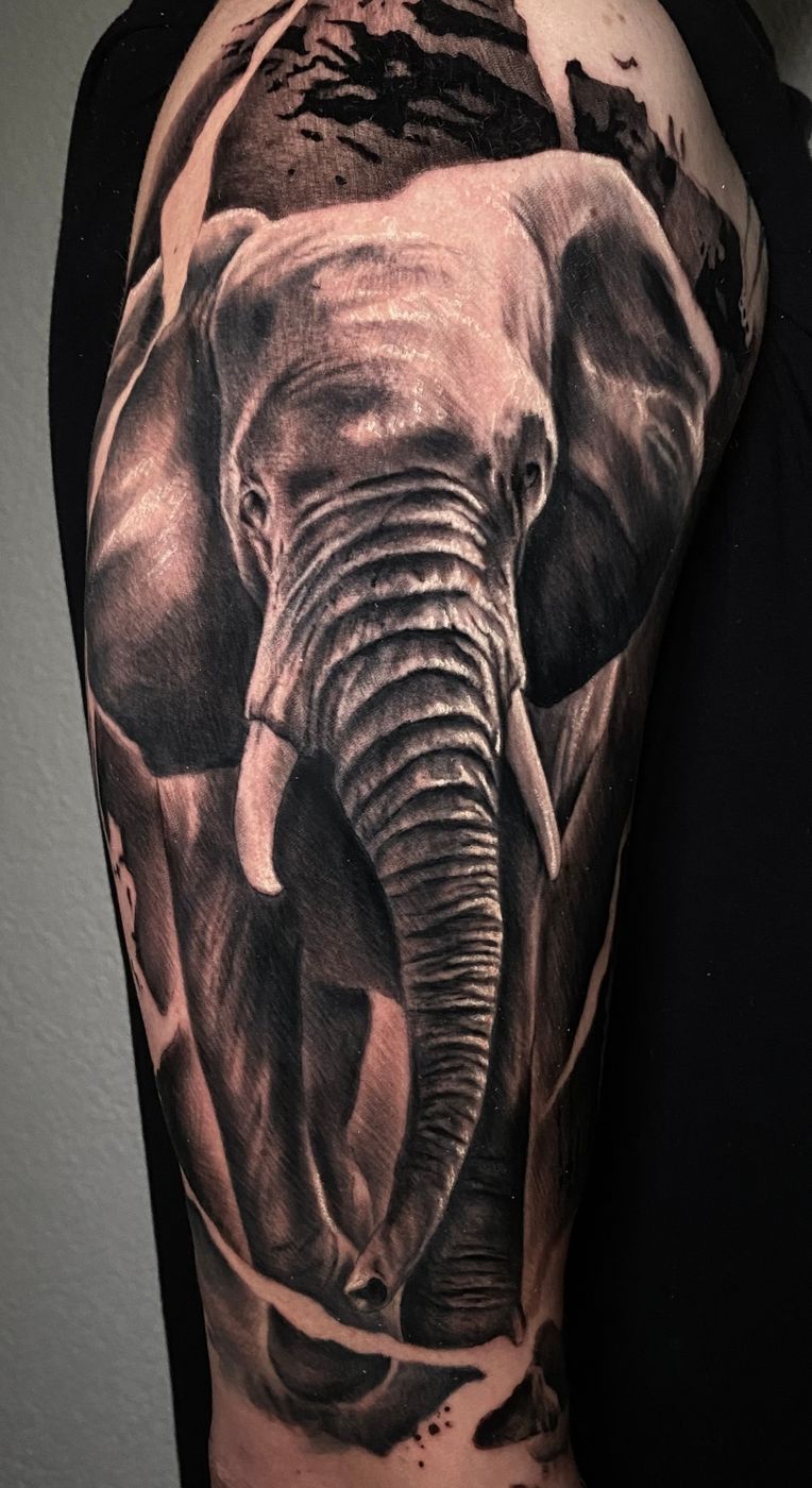 Elephant